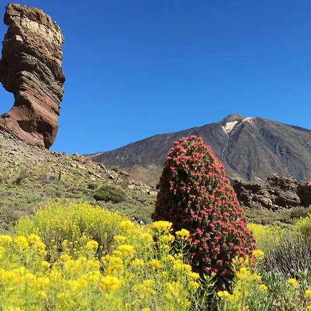 Perfectly Located With Pool * Playa de las Americas (Tenerife)